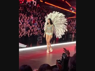 vsfs 2018 adriana