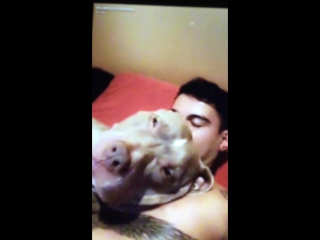 video by chris alvarado
